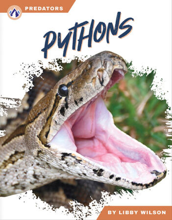 Predators: Pythons (Paperback)