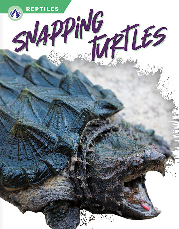 Reptiles - Set of 8 (Paperback)