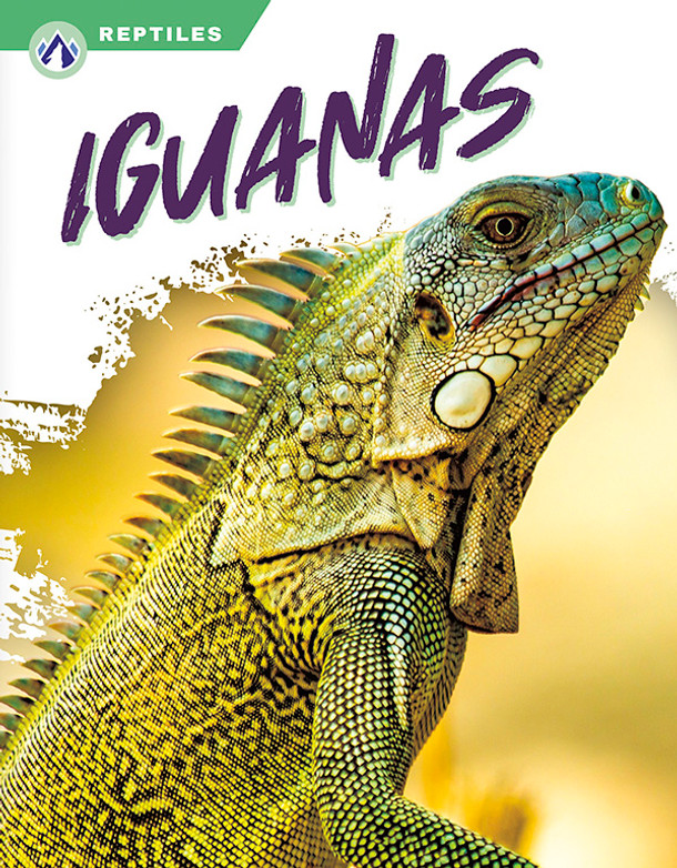 Reptiles - Set of 8 (Paperback) Reptiles - Set of 8 (Paperback)