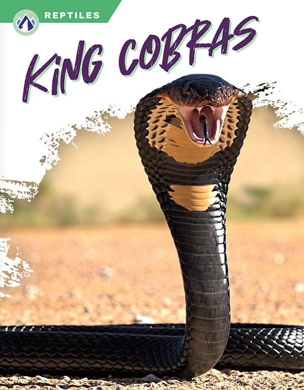 Reptiles: King Cobras (Paperback) Reptiles: King Cobras (Paperback)