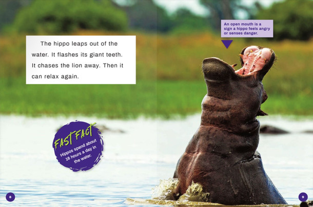 Deadliest Animals: Hippopotamus (Paperback)