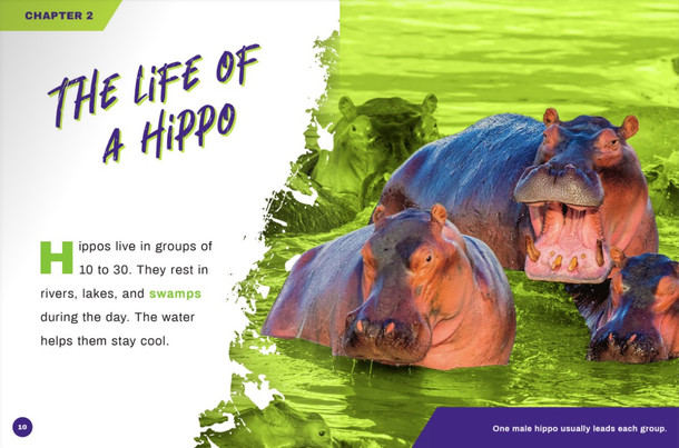 Deadliest Animals: Hippopotamus (Paperback)