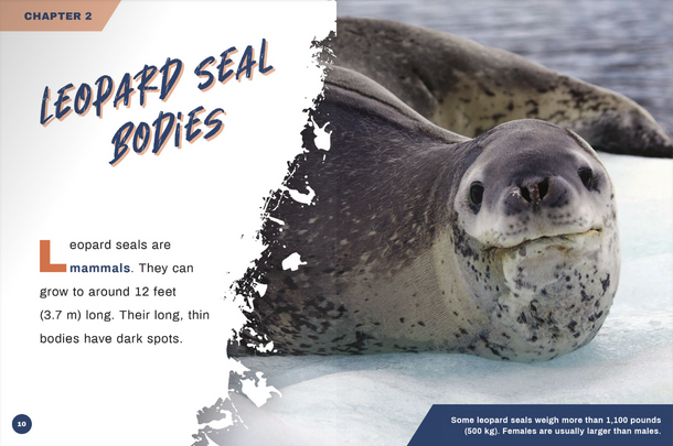 Predators: Leopard Seals (Hardcover) Predators: Leopard Seals (Hardcover)