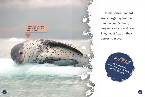 Predators: Leopard Seals (Hardcover) Predators: Leopard Seals (Hardcover)