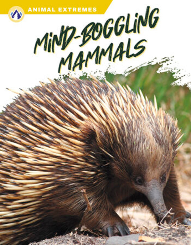 Animal Extremes: Mind-Boggling Mammals (Hardcover)