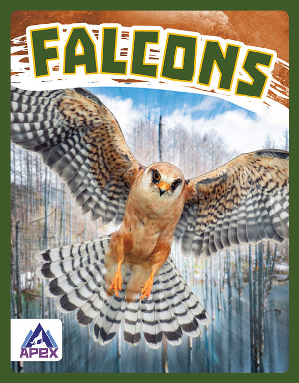 Birds of Prey: Falcons (Hardcover)