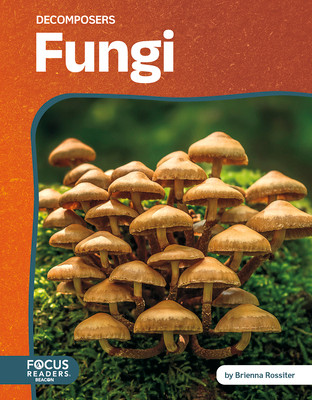 Fungi (Paperback)