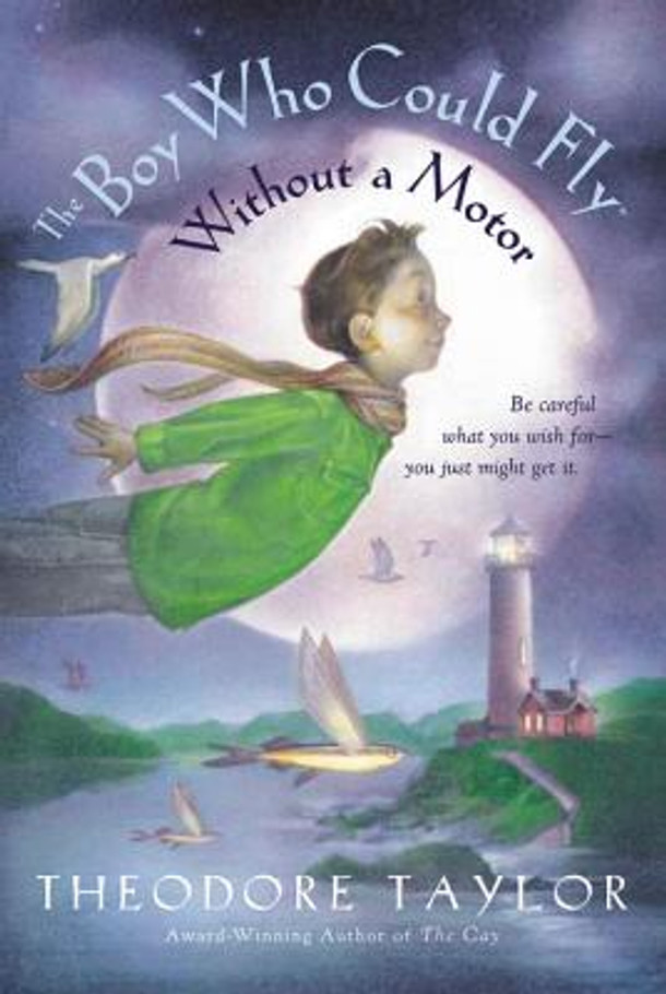 The Boy Who Could Fly Without a Motor (Paperback)