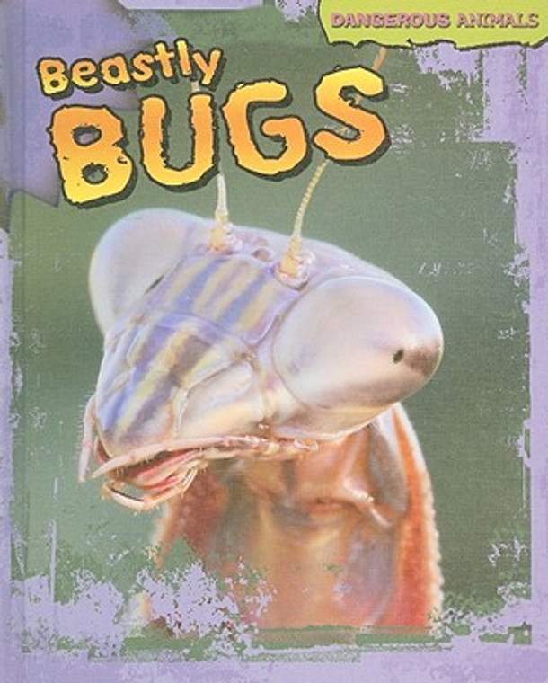Beastly Bugs (Library Binding)