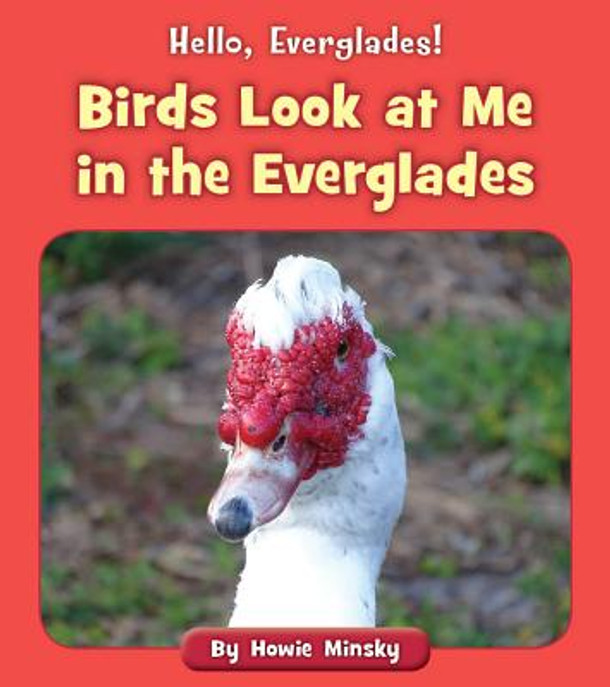 Birds Look at Me in the Everglades (Paperback)