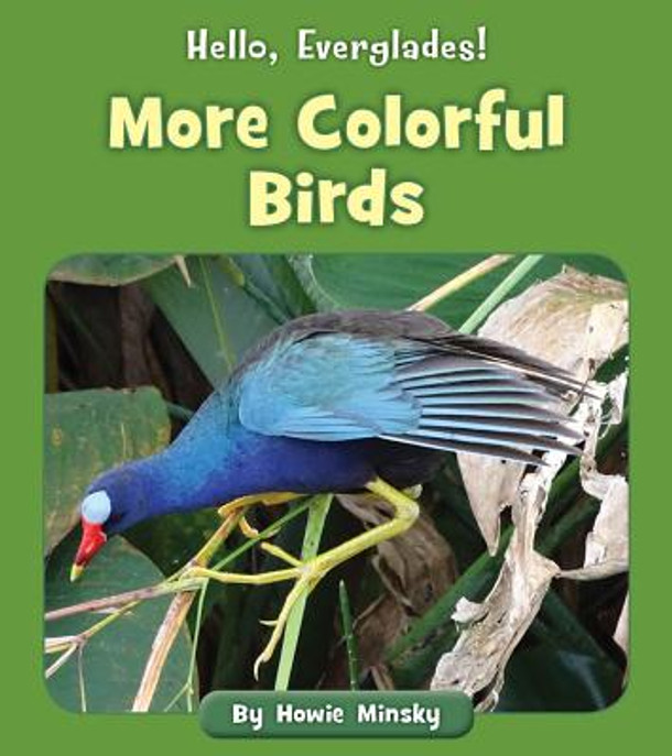 More Colorful Birds (Paperback)