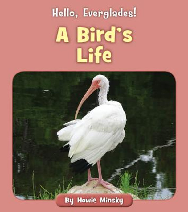 A Bird's Life (Paperback)