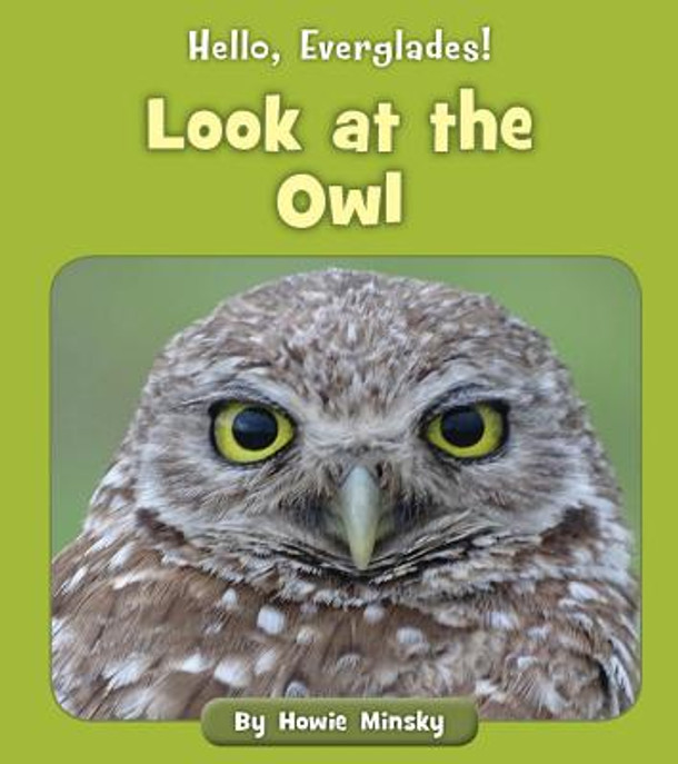 Look at the Owl (Paperback)
