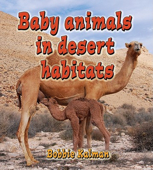 Baby Animals in Desert Habitats (Hardcover)