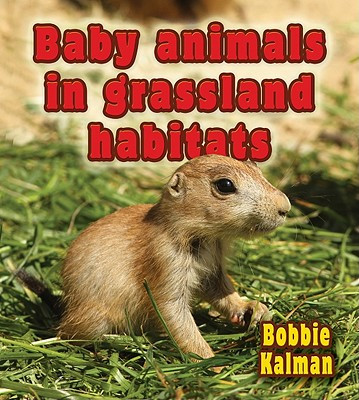 Baby Animals in Grassland Habitats (Hardcover)