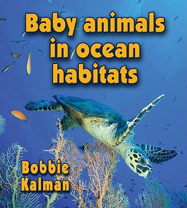 Baby Animals in Ocean Habitats (Hardcover) Baby Animals in Ocean Habitats (Hardcover)