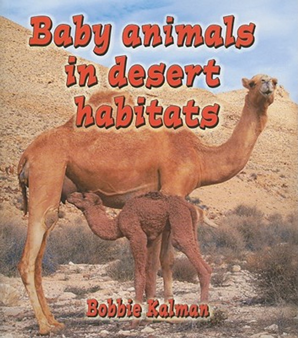 Baby Animals in Desert Habitats (Paperback)