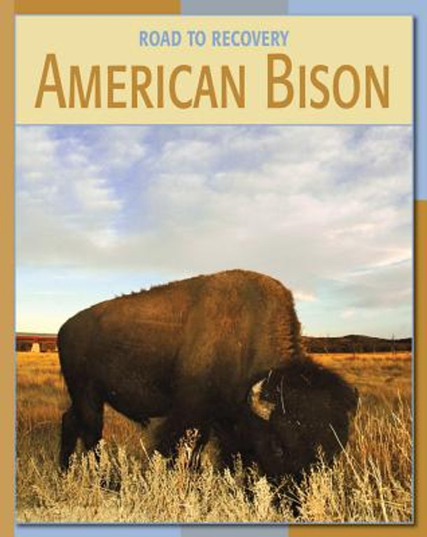American Bison (Library Binding)