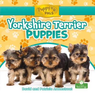 Yorkshire Terrier Puppies (Library Binding)