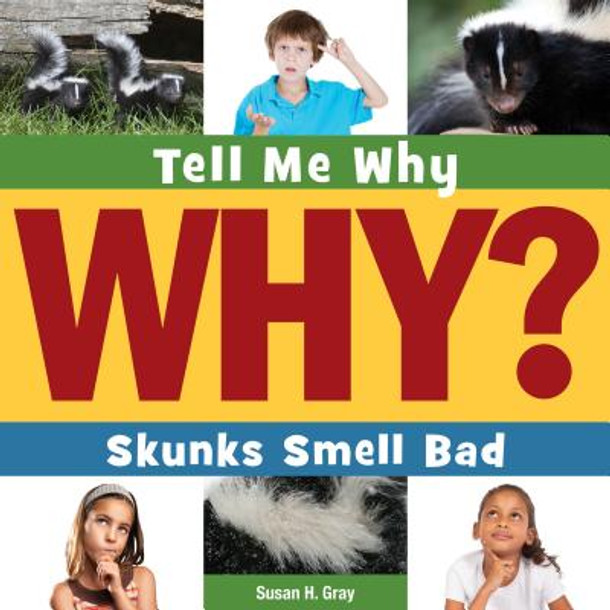Skunks Smell Bad (Paperback)