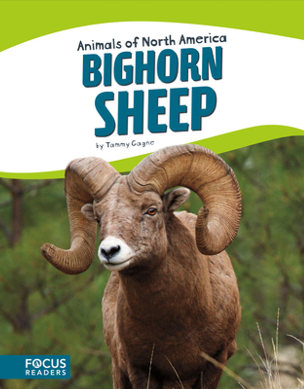 Bighorn Sheep (Library Binding)