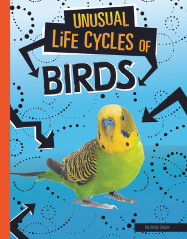 Unusual Life Cycles of Birds (Paperback)