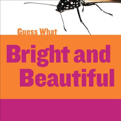 Bright and Beautiful: Butterfly (Paperback)