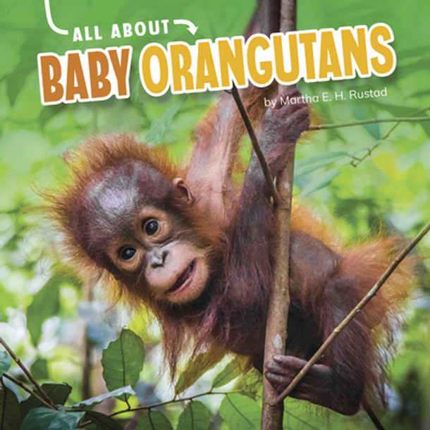 All about Baby Orangutans (Hardcover)