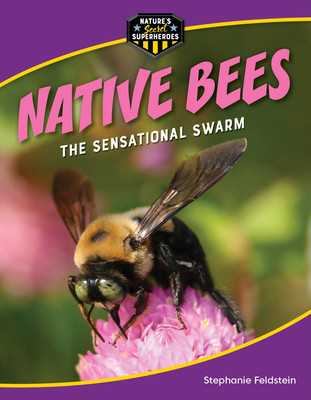 Native Bees: The Sensational Swarm (Paperback)