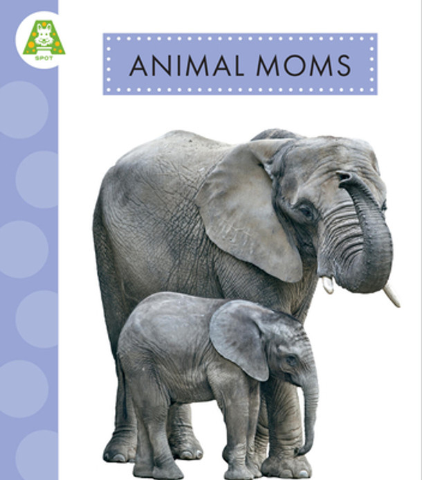 Animal Moms (Paperback)