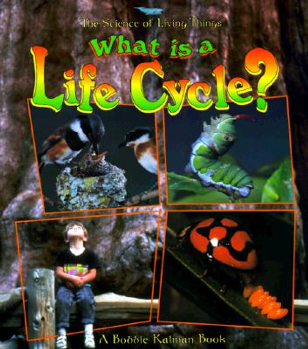 What Is a Life Cycle? (Paperback)