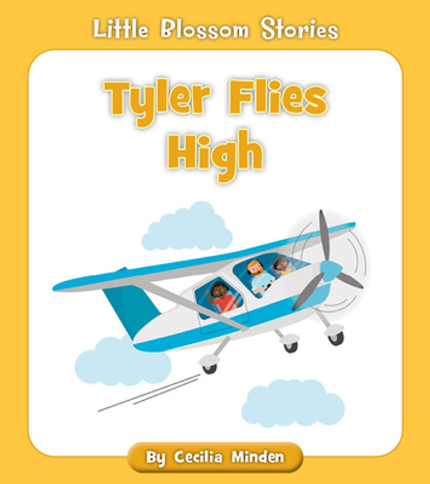 Tyler Flies High (Paperback)