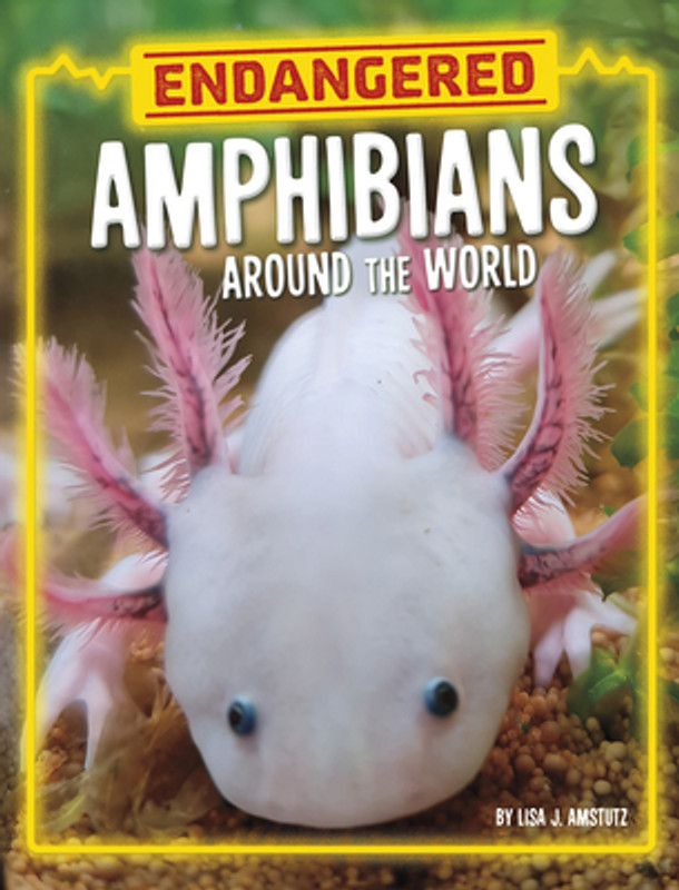 Endangered Amphibians Around the World (Paperback)