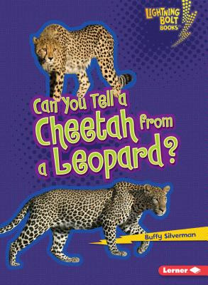 Can You Tell a Cheetah from a Leopard? (Paperback)