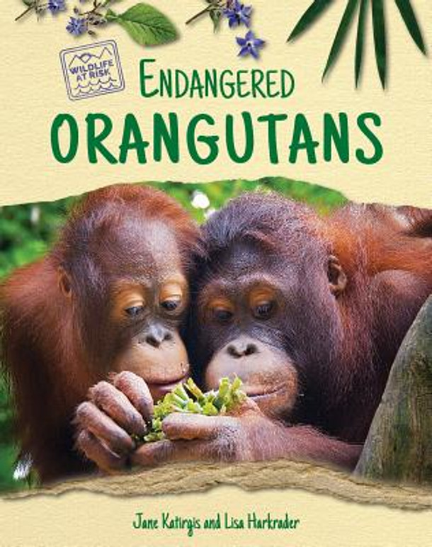 Endangered Orangutans (Library Binding)