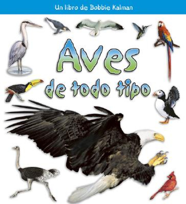 Aves de Todo Tipo (Birds of All Kinds) (Paperback)