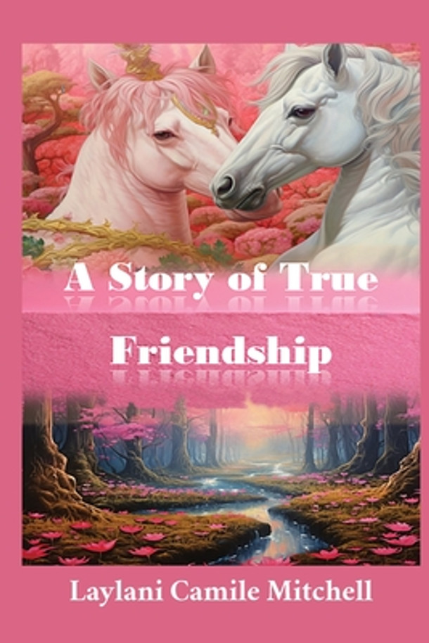 A Story of True Friendship (Paperback)