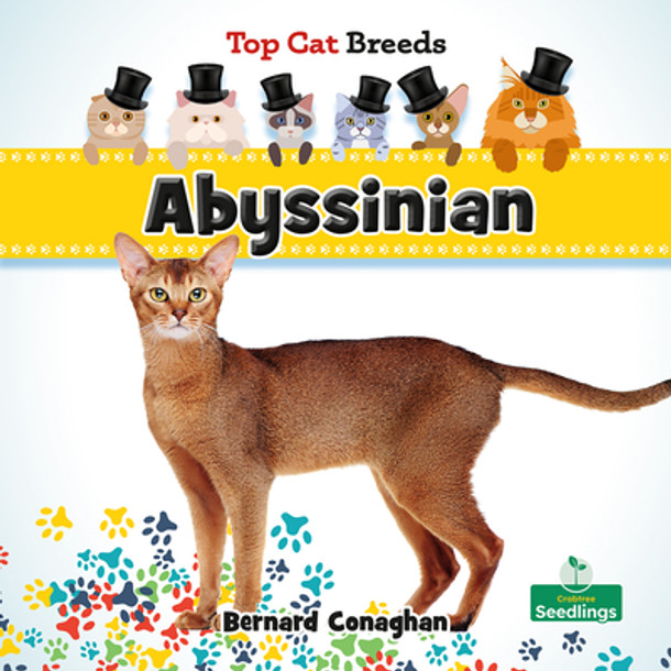 Abyssinian (Hardcover)