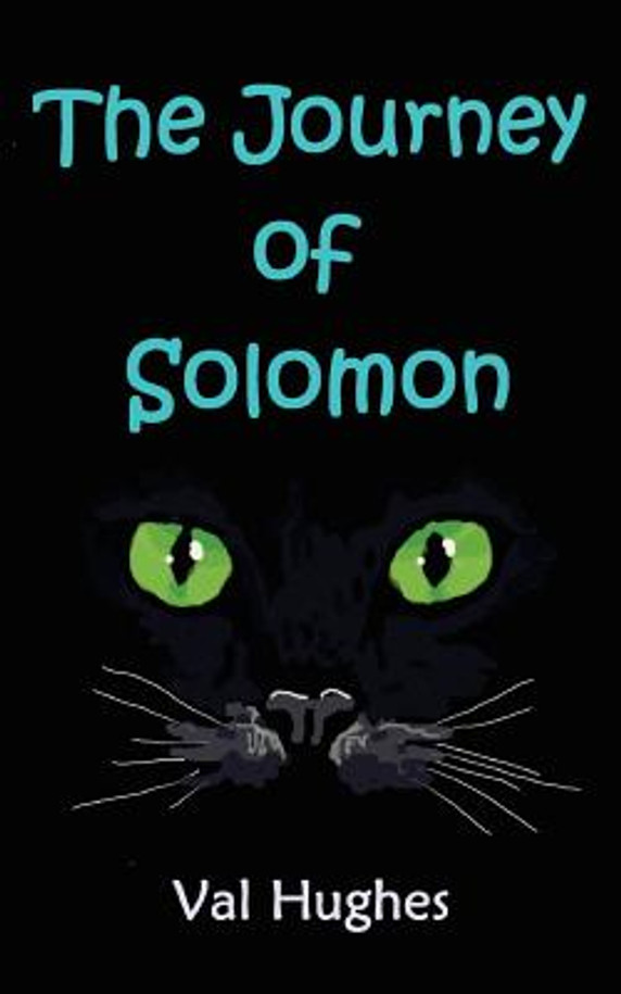 The Journey of Solomon (Paperback)