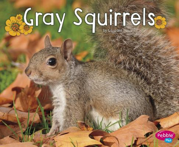 Gray Squirrels (Paperback)