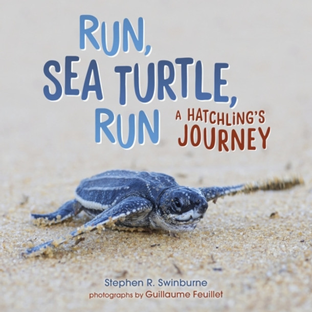 Run, Sea Turtle, Run: A Hatchling's Journey (Library Binding)