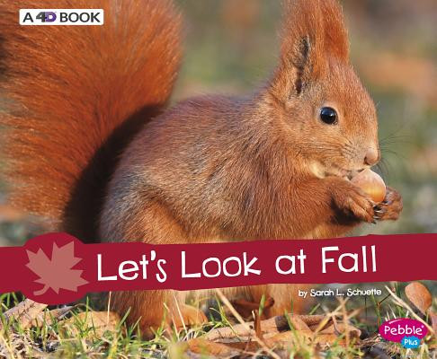 Let's Look at Fall: A 4D Book (Paperback)