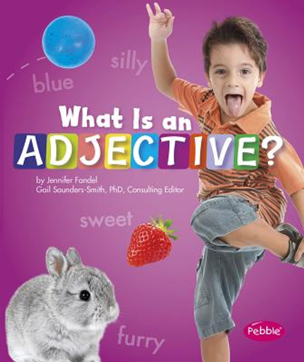 What Is an Adjective? (Paperback)