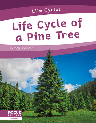 Life Cycle of a Pine Tree (Paperback)