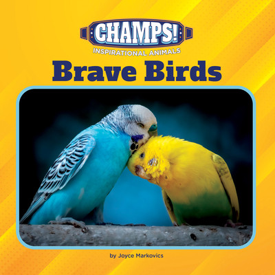 Brave Birds (Paperback)