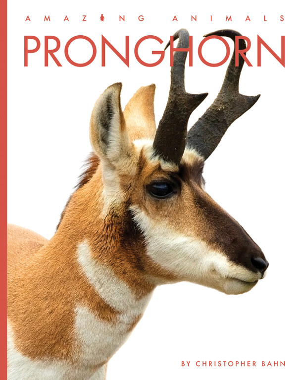 Amazing Animals: Pronghorn (Paperback) Amazing Animals: Pronghorn (Paperback)