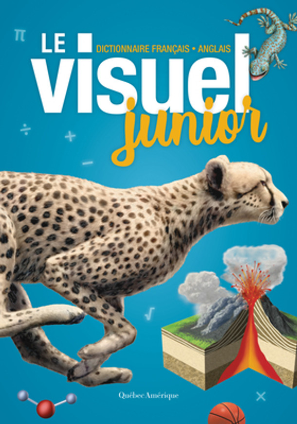 Le Visuel Junior: Dictionnaire Français - Anglais (Hardcover)