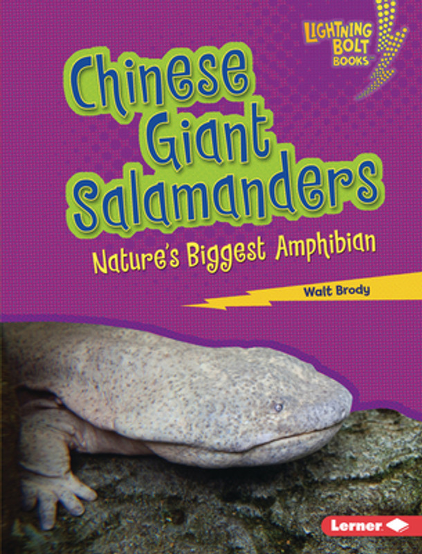 Chinese Giant Salamanders: Nature's Biggest Amphibian (Library Binding)