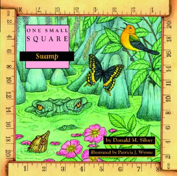 Swamp (Paperback)