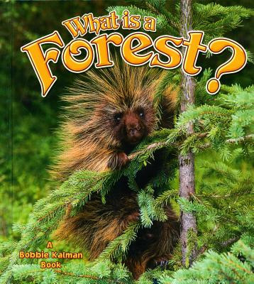 What Is a Forest? (Hardcover)